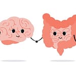 Gut-Brain Connection in Migraine Management
