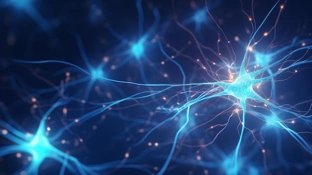 The Science Behind Neurogenesis