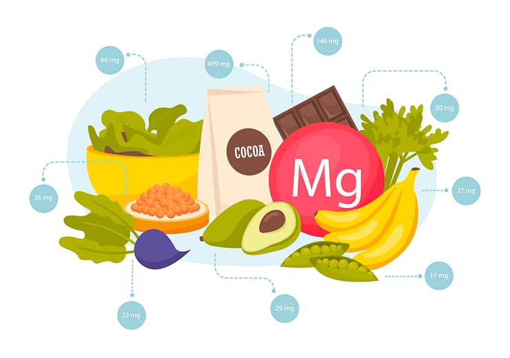Magnesium Foods Composition